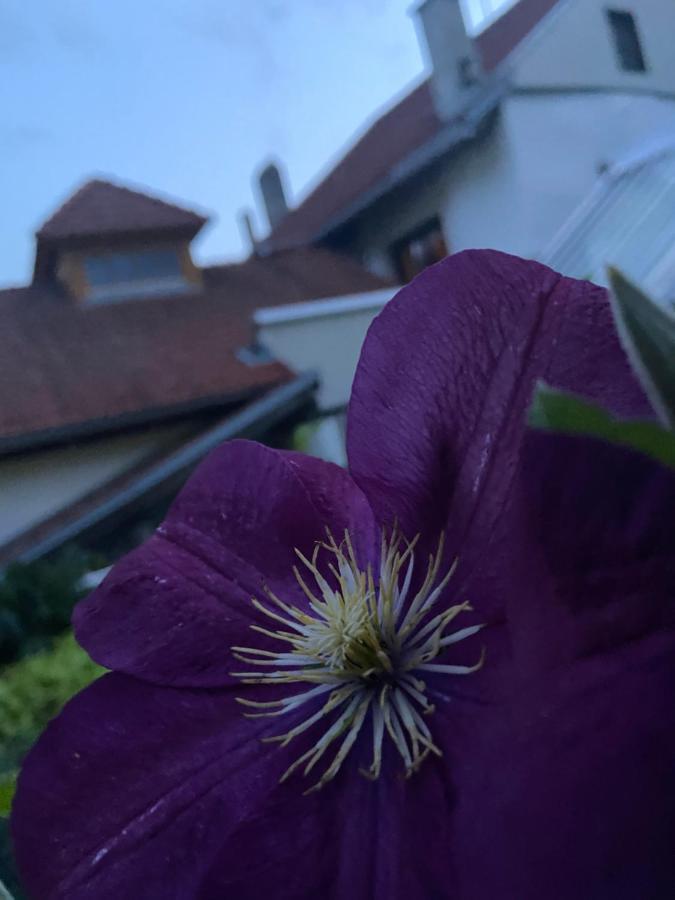 Gasthof Zum Mohrn Oberwoelz Stadt Buitenkant foto
